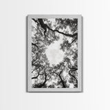 Forest Canopy View, Tree Tops Art, Nature Sky Print, Framed Canvas Print, Bedroom Wall Art, Minimalist Nature, Modern Rustic Decor