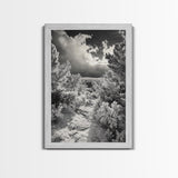 Snowy Pine Path, Winter Forest Light, Frozen Landscape Art, Canvas Print, Holiday Wall Art, Minimalist Winter, Nordic Style Decor