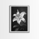 Elegant Lily, Black and White, Floral Beauty, Canvas Print, Botanical Wall Art, Minimalist Art, Bedroom Wall Decor, Nature Photography