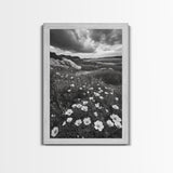 Meadow Bloom, Coastal Flowers, Stormy Sky, Framed Canvas Print, Spring Wall Art, Nature Photography, Kitchen Botanical Decor