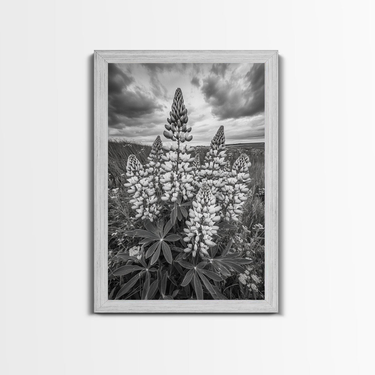 Lupine Flower Field, Bold Floral, Spring Nature Scene, Framed Canvas Print, Boho Living Room Art, Botanical Wall Decor
