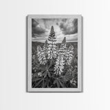 Lupine Flower Field, Bold Floral, Spring Nature Scene, Framed Canvas Print, Boho Living Room Art, Botanical Wall Decor