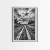 Forest Trail, Overcast Sky, Nature Pathway, Moody Landscape, Framed Canvas Print, Office Wall Art, Woodland Autumn Decor