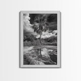Tropical Palm, Reflected Sky, Nature Tranquility, Canvas Print, boho wall decor, bathroom art, tropical reflection photography