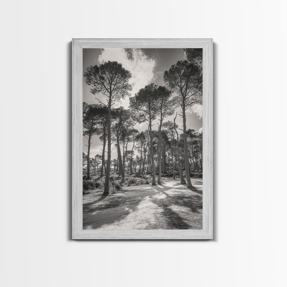 Forest Shadows, Tall Pines, Natural Light, Framed Canvas Print, woodland landscape, rustic cabin decor, autumn forest art