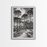 Forest Shadows, Tall Pines, Natural Light, Framed Canvas Print, woodland landscape, rustic cabin decor, autumn forest art