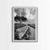 Coastal Path, Nature Trail, Windswept Tree, Framed Canvas Print, Rustic Landscape Art, Minimalist Decor, Bedroom Wall Art, Fall Vibes