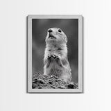 Prairie Dog, Wildlife Watch, Nature Moment, Framed Canvas Print, Whimsical Animal Wall Art, Nursery Decor, Cute Forest Creature