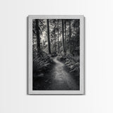 Fern Pathway, Enchanted Forest, Woodland Trail, Framed Canvas Print, Nature Walk Wall Art, Boho Bedroom Decor, Moody Landscape Style