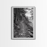 Forest Pathway Trail, Wilderness Escape, Rustic Nature, Black and White Framed Canvas Print, Cozy Cabin or Entryway Wall Art