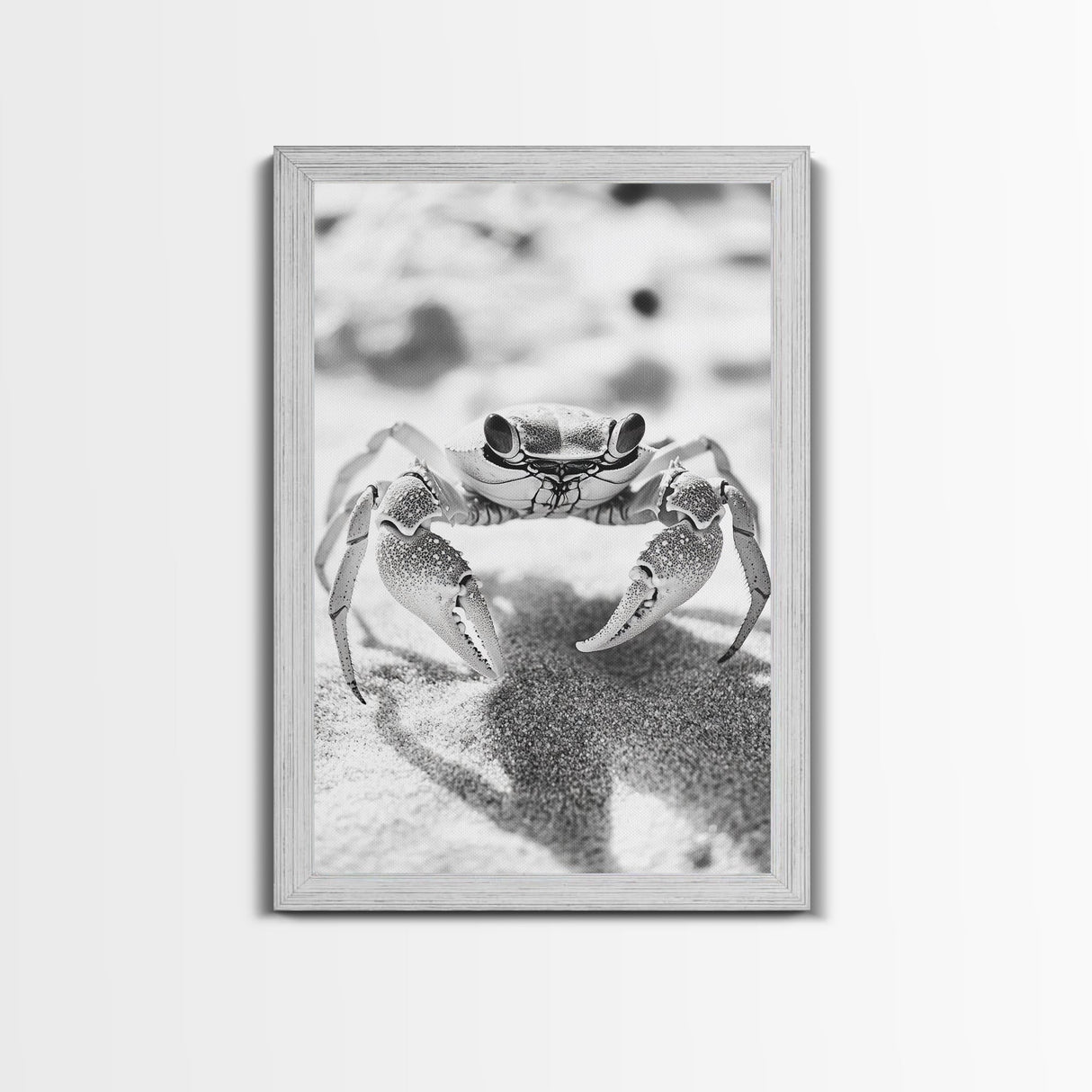 Sand Crab, Beach Macro, Ocean Critter Art, Framed Canvas Print, Coastal Bathroom Decor, Beach House Wall Art, Nature Close-Up