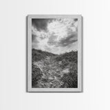 Sandy Trail, Ocean Path, Windy Grass, Moody Sky, Framed Canvas Print, coastal nature photography, hallway decor, rustic neutral art