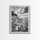 Flower Shore, Peaceful Beach, Moody Sky, Petal Scape, Framed Canvas Print, romantic beach art, bedroom decor, black and white floral print