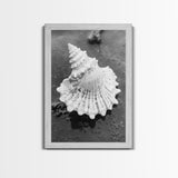 Spiral Shell, Beach Texture, Nature Closeup, Sea Whisper Framed Canvas Print, minimalist beach wall art, boho coastal kitchen decor