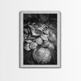 Seashell Pile, Textured Beach, Coastal Treasures, Natural Beauty Framed Canvas Print, bathroom decor, shell art, beach wall style