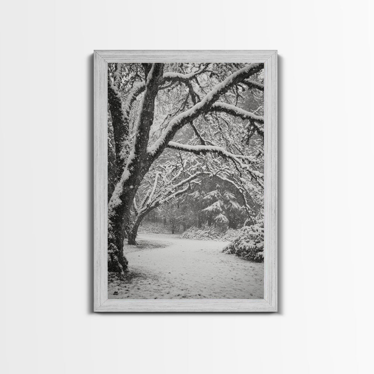 Snowfall Trees, Winter Forest, Nature Pathway, Canvas Print, Holiday Season Decor, Cozy Living Room or Cabin Wall Art