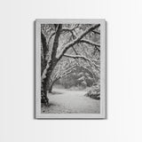 Snowfall Trees, Winter Forest, Nature Pathway, Canvas Print, Holiday Season Decor, Cozy Living Room or Cabin Wall Art