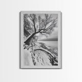 Coastal Snow, Barren Tree, Frozen Shoreline, Canvas Print, Serene Winter Decor, Entryway or Hallway Minimalist Wall Art
