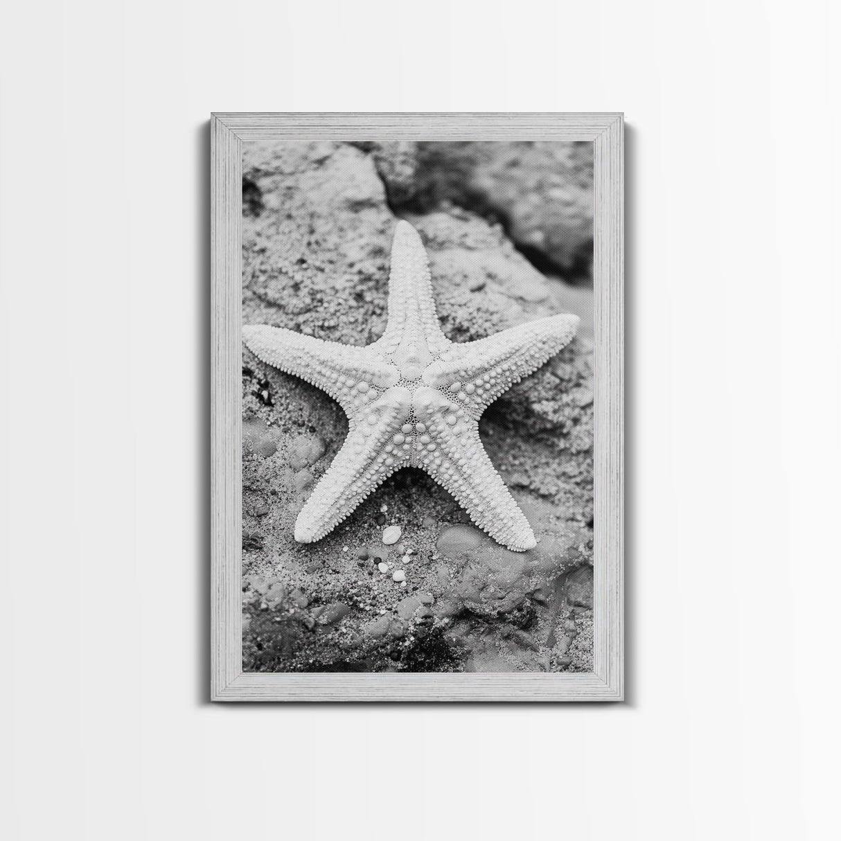 Starfish Closeup, Coastal Shell, Beach Texture, Framed Canvas Print, Bathroom or Ocean Nursery Decor, Minimal Beach Art