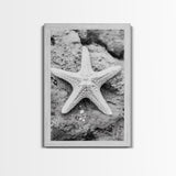 Starfish Closeup, Coastal Shell, Beach Texture, Framed Canvas Print, Bathroom or Ocean Nursery Decor, Minimal Beach Art