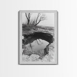 Reflected Trees Pool, Black White Nature, Moody Autumn Wall Art, Rustic Minimalist Style, Framed Canvas Print, Entryway Home Decor