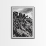 Hillside Forest, Peaceful Pines, Mountain Light, Framed Canvas Print, Nature Wall Art, Cabin Decor, Woodland Landscape Scene