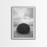 Windswept Beach Nest, Natural Sculpture, Driftwood Ball, Solitude Scene, Canvas Print, Minimalist Wall Art, Neutral Bedroom Decor
