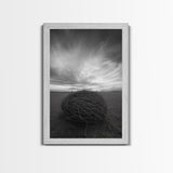 Twilight Field Nest, Tumbleweed Art, Desert Calm, Grassy Plains, Framed Canvas Print, Entryway Wall Art, Boho Nature Landscape