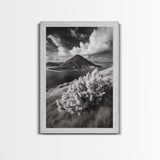 Majestic Volcano, Wild Grass, Black and White, Framed Canvas Print, Nature Photography, Office Decor, Moody Art, Rustic Wall Art