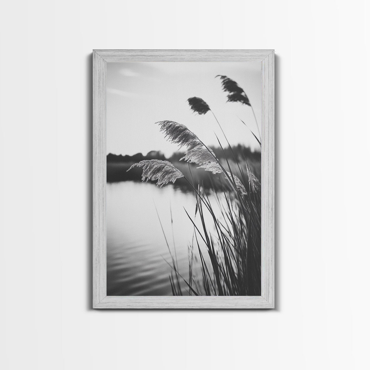 Reed Grass, Gentle Breeze, Black and White Nature, Canvas Print, Minimalist Wall Art, Tranquil Lake Scene, Bedroom Decor