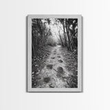 Forest Trail Path, Woodland Escape, Nature Walk, Adventure Art, Framed Canvas Print, Office Wall Decor, Autumn Vibes, Rustic Nature Style