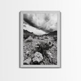 Desert Storm, Cactus Scene, Black White Art, Canvas Print, Southwest Wall Art, Earthy Tones Decor, Boho Style, Entryway Wall Accent