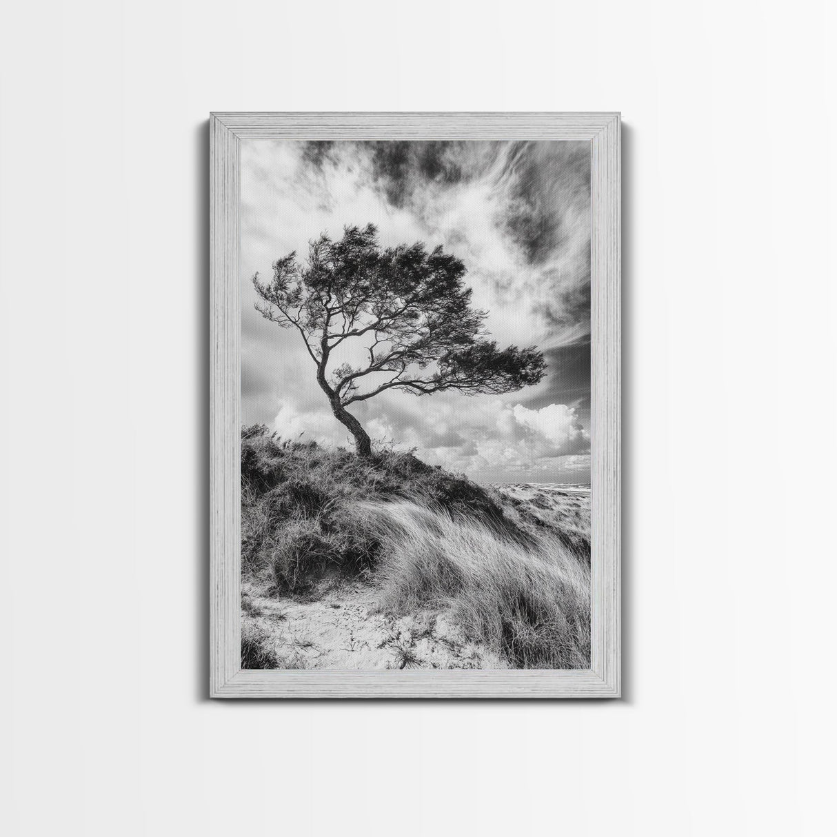 Windswept Tree, Coastal Landscape, Stormy Sky, Framed Canvas Print, Modern Rustic Wall Art, Nature Photography, Bedroom Wall Accent