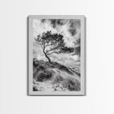 Windswept Tree, Coastal Landscape, Stormy Sky, Framed Canvas Print, Modern Rustic Wall Art, Nature Photography, Bedroom Wall Accent