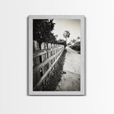 Palm Fence, California Pathway, Suburban Tranquility, Canvas Print, Outdoor Wall Art, Neutral Tones, Modern Minimalist Home Vibe