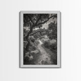 Forest Path, Twisting Trees, Nature Trail Scene, Framed Canvas Print, Earthy Wall Art, Boho Woodland Decor, Entryway or Hallway Accent