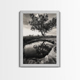 Tree Reflection, Still Water, Peaceful Nature, Framed Canvas Print, Tranquil Wall Art, Rustic Bedroom Decor, Black and White Photography