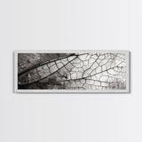 Macro Insect Wing, Abstract Nature Texture, Modern Neutral Wall Decor, Framed Canvas Print, Office Art, Monochrome Macro Photography