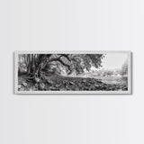 River Tree Roots, Tranquil Forest Landscape, Nature Wall Decor, Framed Canvas Print, Living Room Art, Black and White Earthy Style