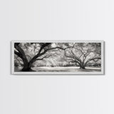 Sprawling Trees, Oak Forest, Sunlit Canopy, Majestic Branches, Canvas Print, Nature Wall Art, Boho Decor, Living Room Statement Piece