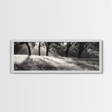 Sunrays Meadow, Tree Light, Golden Hour, Framed Canvas Print, Fall Living Room Art, Rustic Nature Decor, Warm Toned Landscape