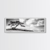 Windswept Tree, Coastal Nature, Ocean Cliff View, Framed Canvas Print, Zen Wall Art, Minimalist Decor, Calm Living Room Accent