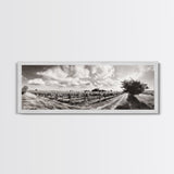 Vineyard Rows, Sunny Fields, Cloudy Sky, Canvas Print, Rustic Country Decor, Dining Room Wall Art, Wine Country Landscape, Farmhouse Style