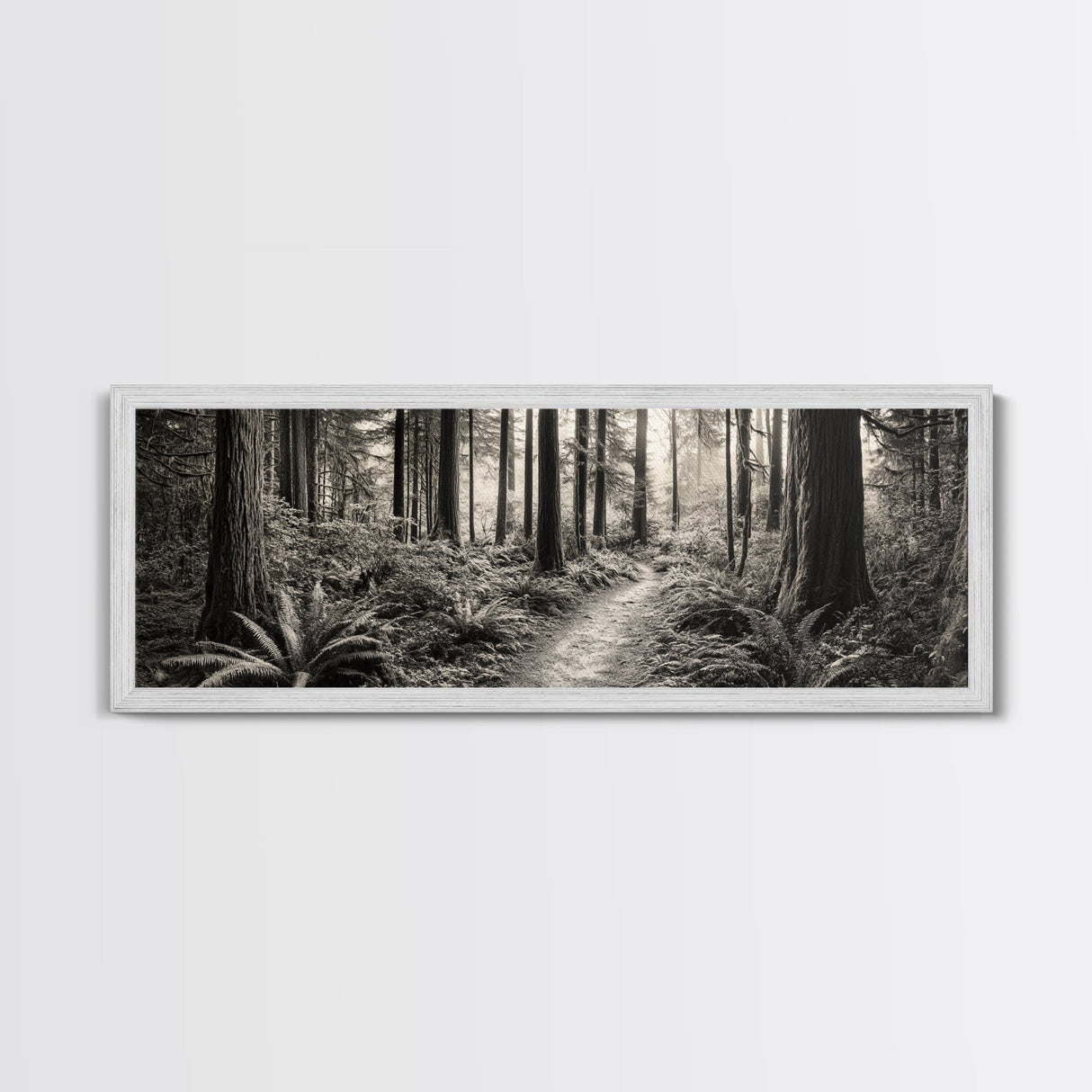 Redwood Forest, Nature Path, Fern Understory, Framed Canvas Print, Moody Nature Photography, Office Wall Art, Forest Bathing Vibes