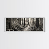 Redwood Forest, Nature Path, Fern Understory, Framed Canvas Print, Moody Nature Photography, Office Wall Art, Forest Bathing Vibes