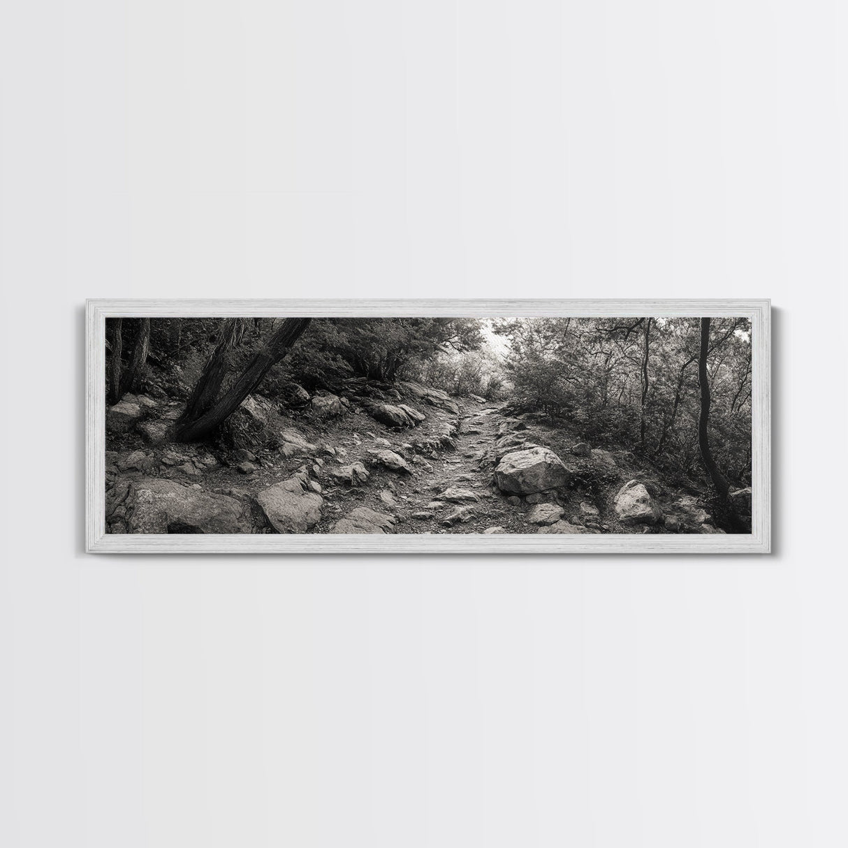 Rocky Path, Forest Trail, Autumn Mood, Canvas Print, Nature Photography, Rustic Entryway Decor, Woodland Art, Cabin Hallway Style