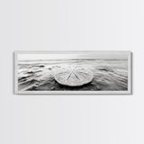 Sand Dollar, Ocean Shore, Calm Waters, Canvas Print, Coastal Wall Art, Minimalist Bathroom Decor, Seashell Beach Photography