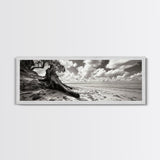 Coastal Tree Roots, Windswept Beach, Natural Form, Framed Canvas Print, Boho Wall Art, Entryway Decor, Beach House Aesthetic