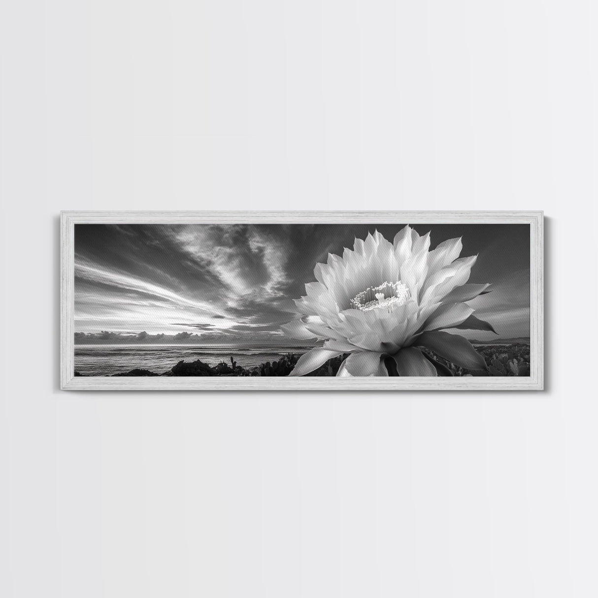 Desert Bloom Flower, Coastal Cactus Sunrise, Nature Canvas Print, Southwestern Wall Art, Boho Bathroom or Bedroom Decor