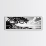 Coastal Tree, Wind Bent, Seaside Beauty, Nautical Serenity, Canvas Print, Nature Wall Art, Minimalist Decor, Coastal Living Room Art